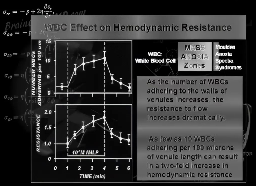 Hemodynamic resistance and WBCs