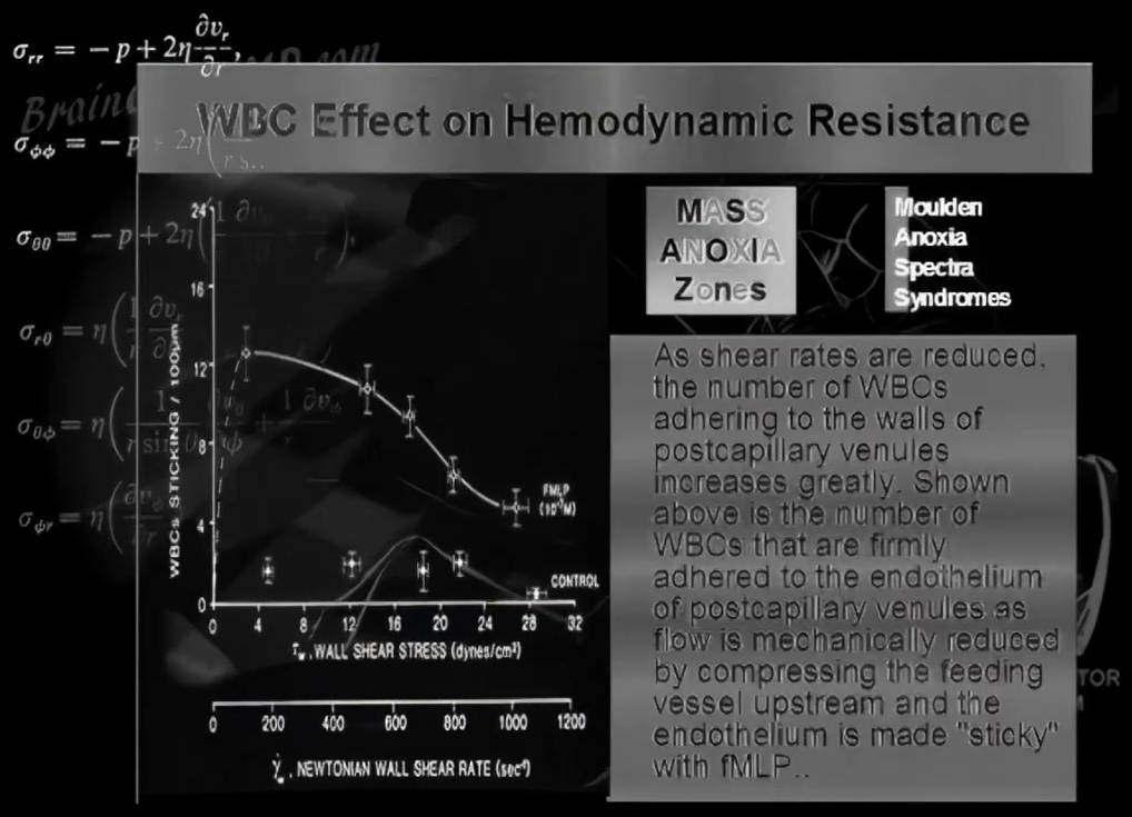 Hemodynamic resistance and WBCs - 03