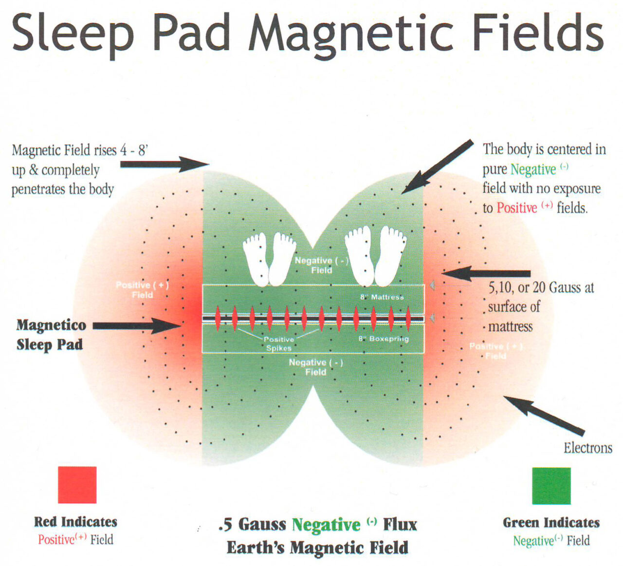 Magnetico magnetic fields