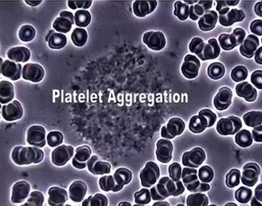 Platelet aggregation